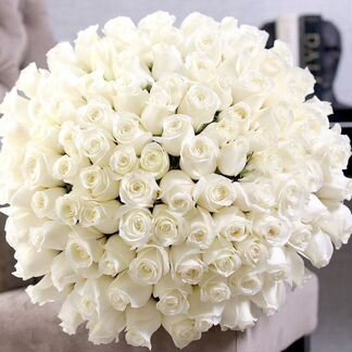 Розы Цветы Букеты 25 31 51 151 201 101 301 501 100