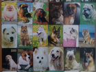Коллекция календариков с собаками 200 штук