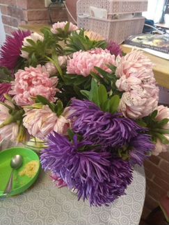 Семена от Биотехники. Совместная закупка