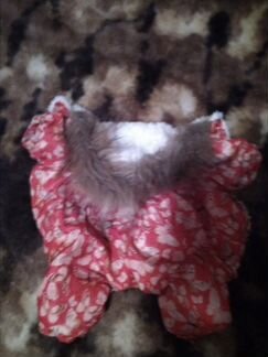 Комбинезон зимний для собак и курточка утепленая