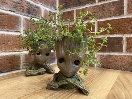 Цветок в красивом оформлении (оригинальный подарок