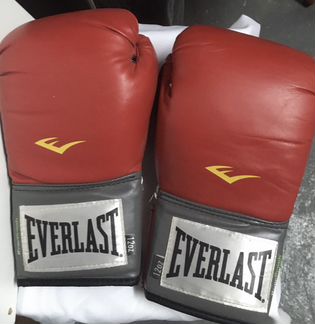 Боксерские перчатки Everlast