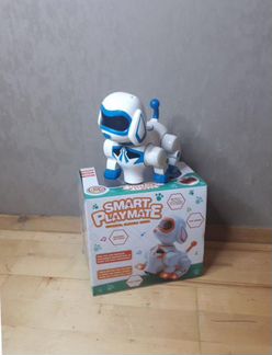 Робот Smart Playmate